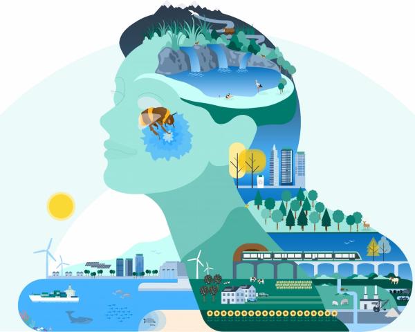 EEA: Ako sa darí Európe v ochrane prírody a pri riešení zmeny klímy?