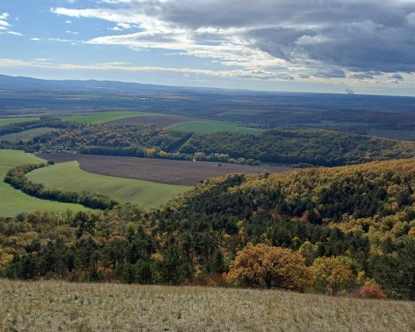 Správa o pokroku európskych klimatických opatrení za rok 2025
