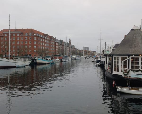 Výskumníci odhaľujú, ako klimatická zmena ovplyvňuje migračné správanie