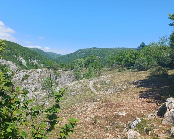 Novinky na európskom portáli o klimatickej pripravenosti
