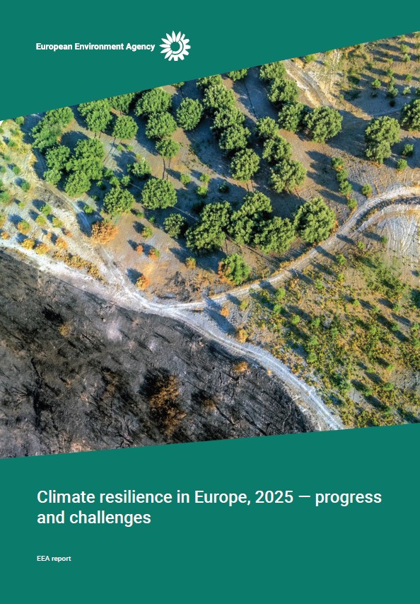 Climate resilience in Europe, 2025 — progress and challenges